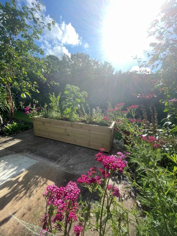 Large Garden Decking Planters - Image 9
