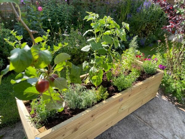 Large Garden Decking Planters - Image 5