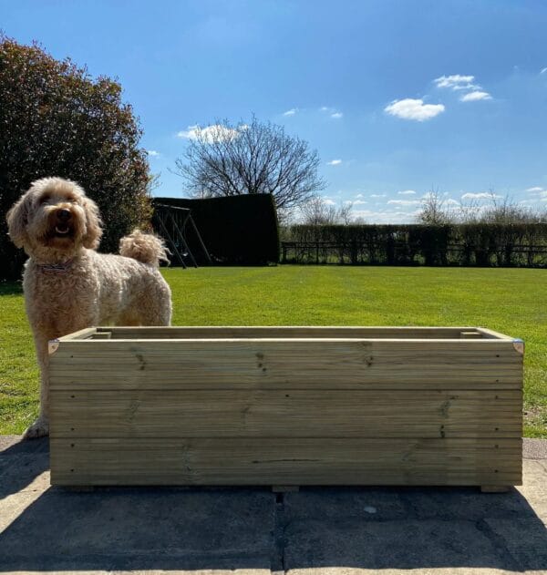 Large Garden Decking Planters - Image 7